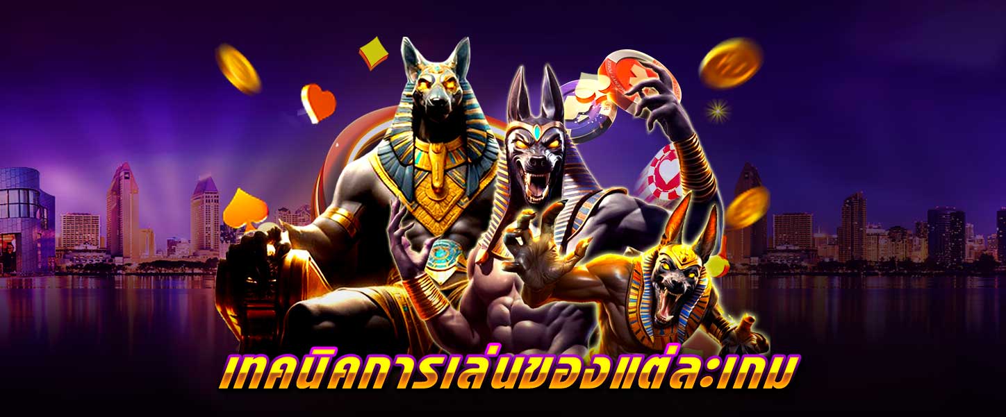 ทางเข้าเล่น เว็บpglsm99